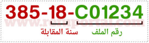 ملف اليو ان
